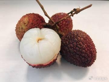 吃荔枝一次别超过10个 