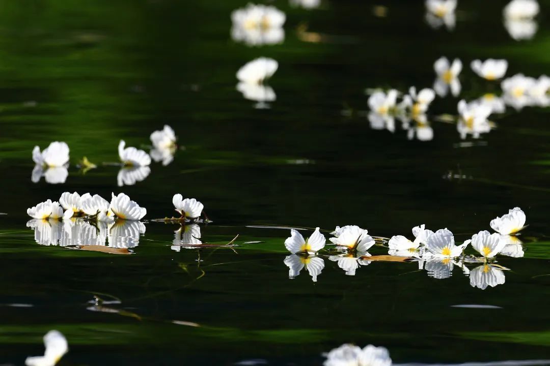 云南省文化和旅游厅
