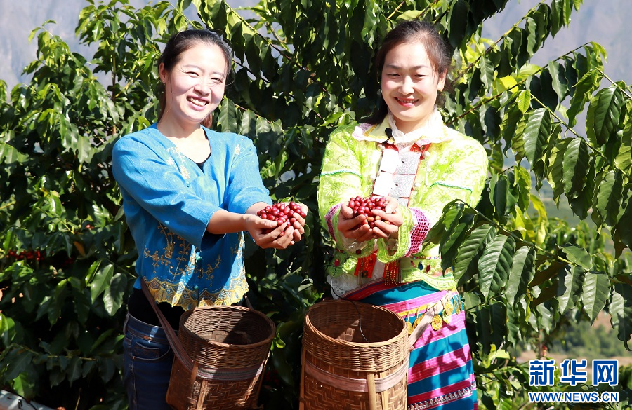 云南省文化和旅游厅
