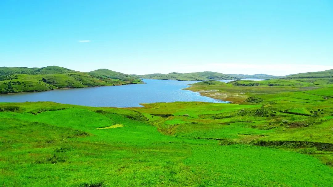 云南省文化和旅游厅