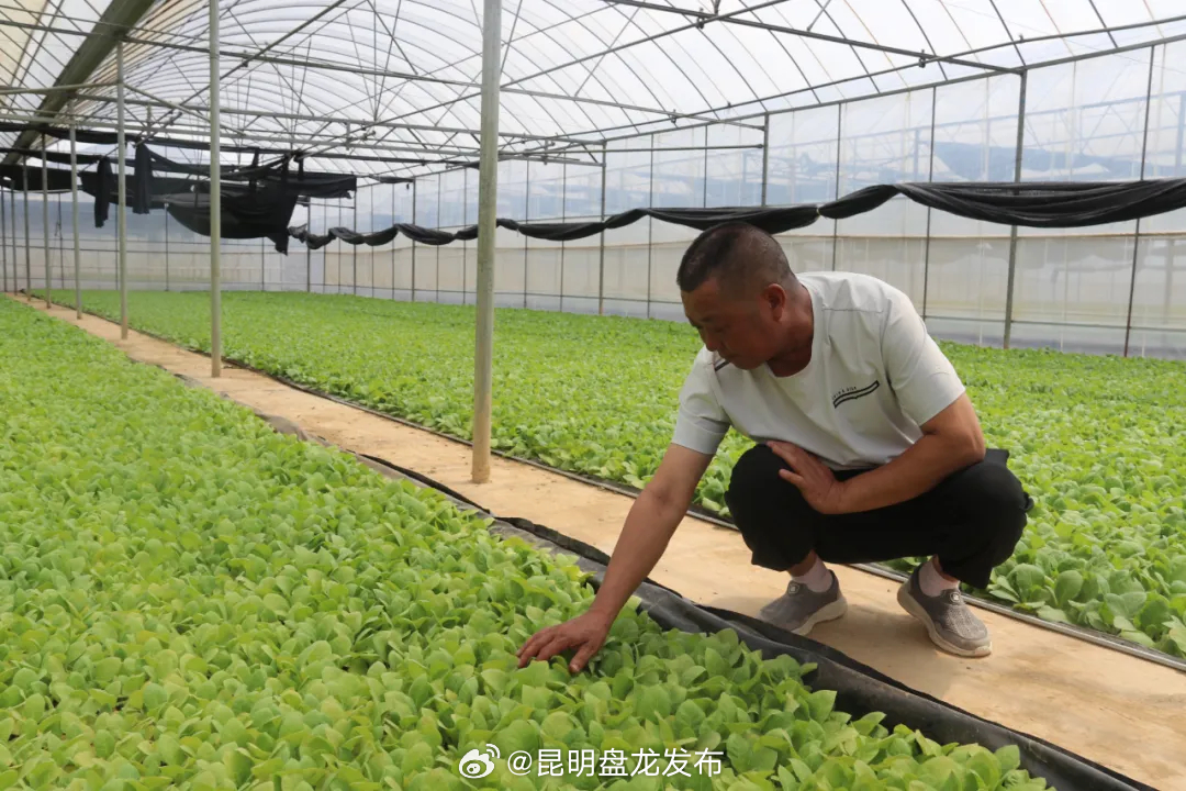 昆明盘龙发布