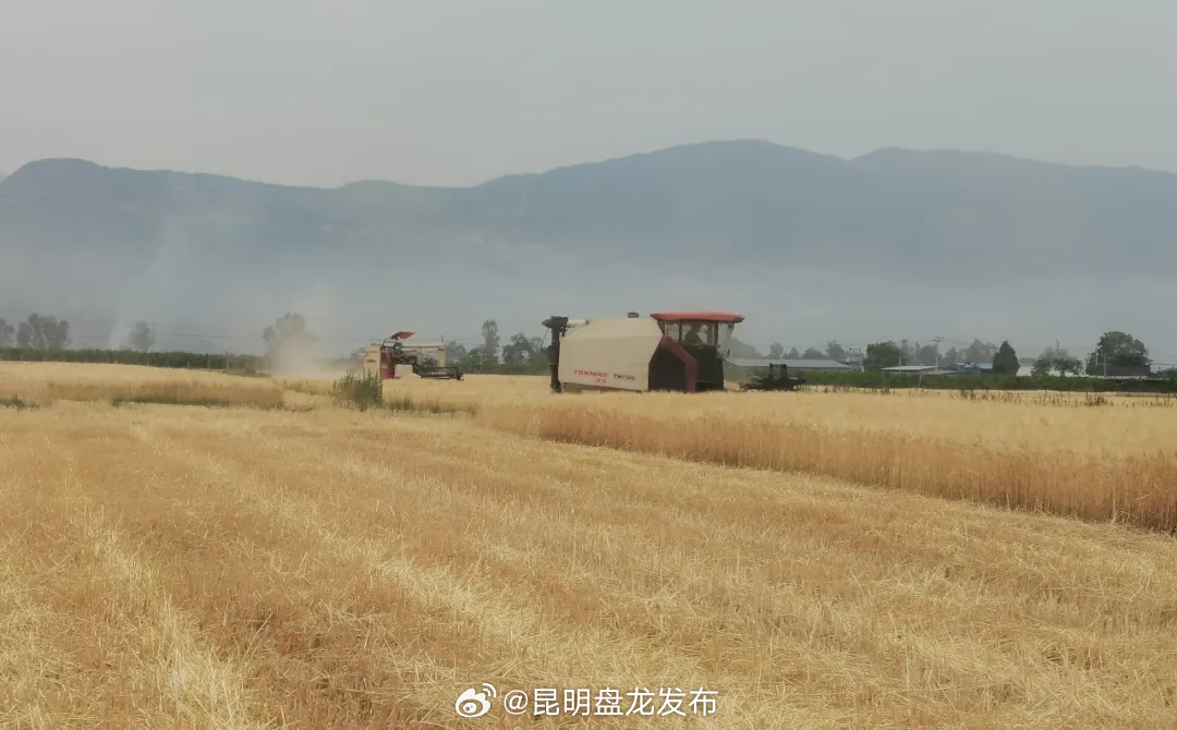 昆明盘龙发布