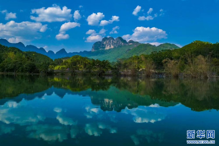 云南省文化和旅游厅