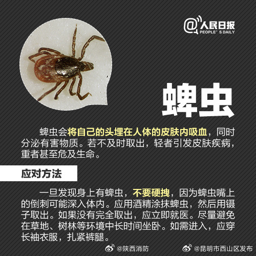 昆明市西山区发布