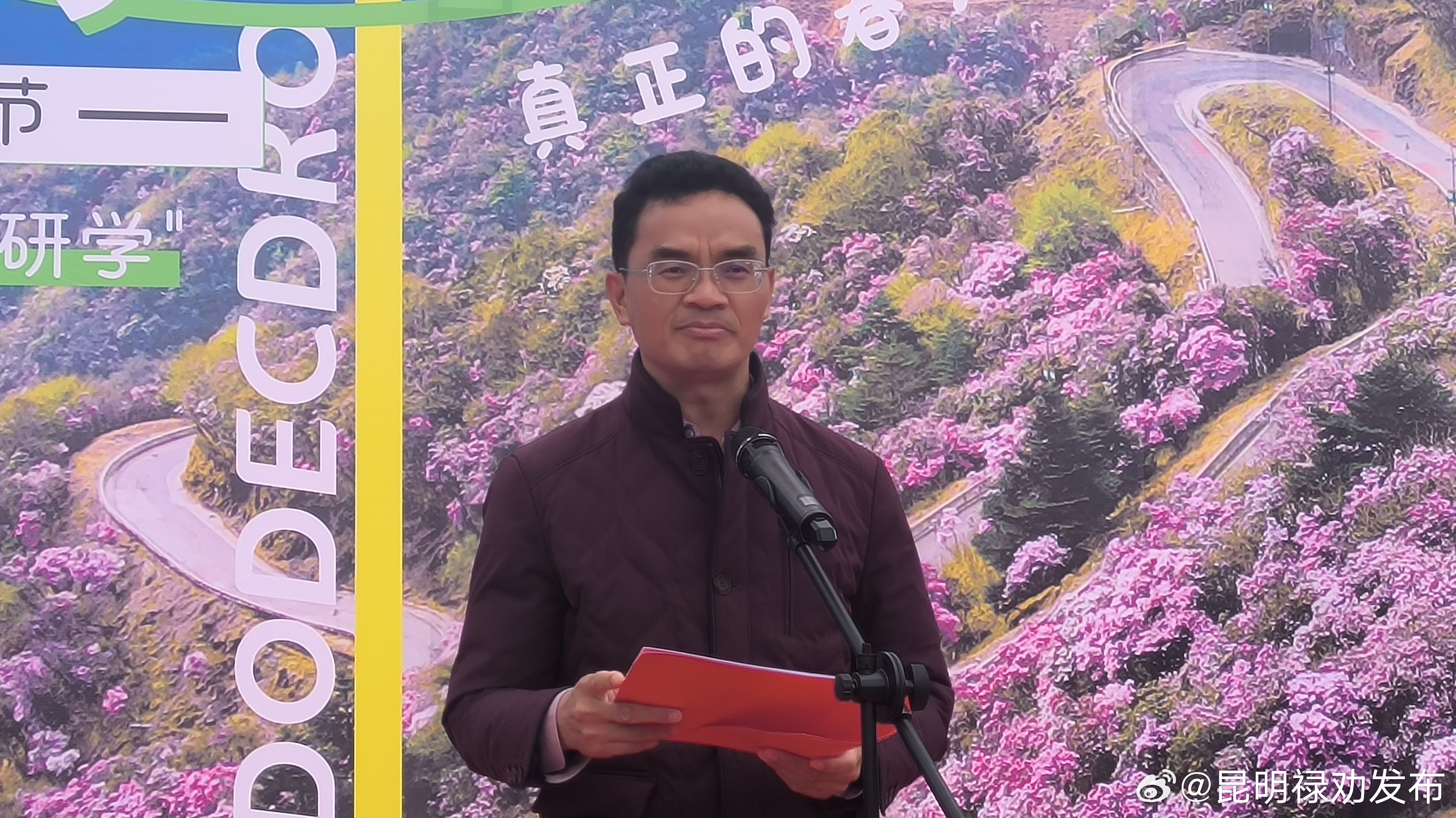 轿子山第七届杜鹃花节开幕_http://www.mainten.cn_ycb_第3张