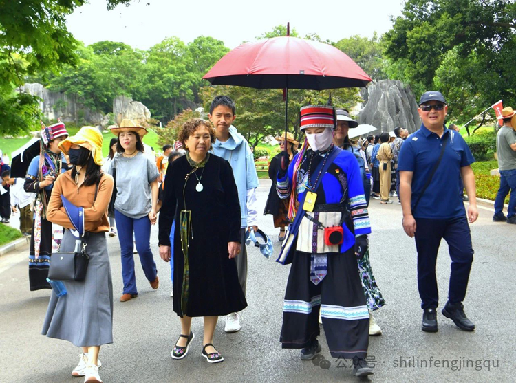 石林旅游网