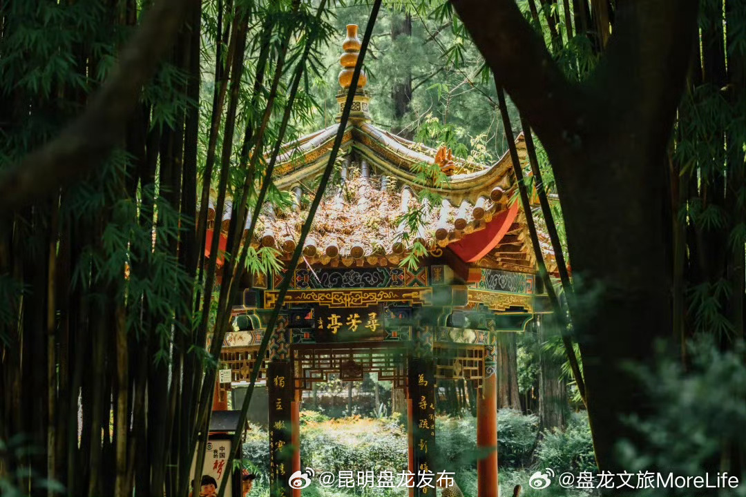五一来盘龙嗨歌啦~_http://www.mainten.cn_ycb_第4张