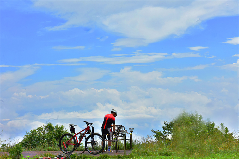 云南省文化和旅游厅