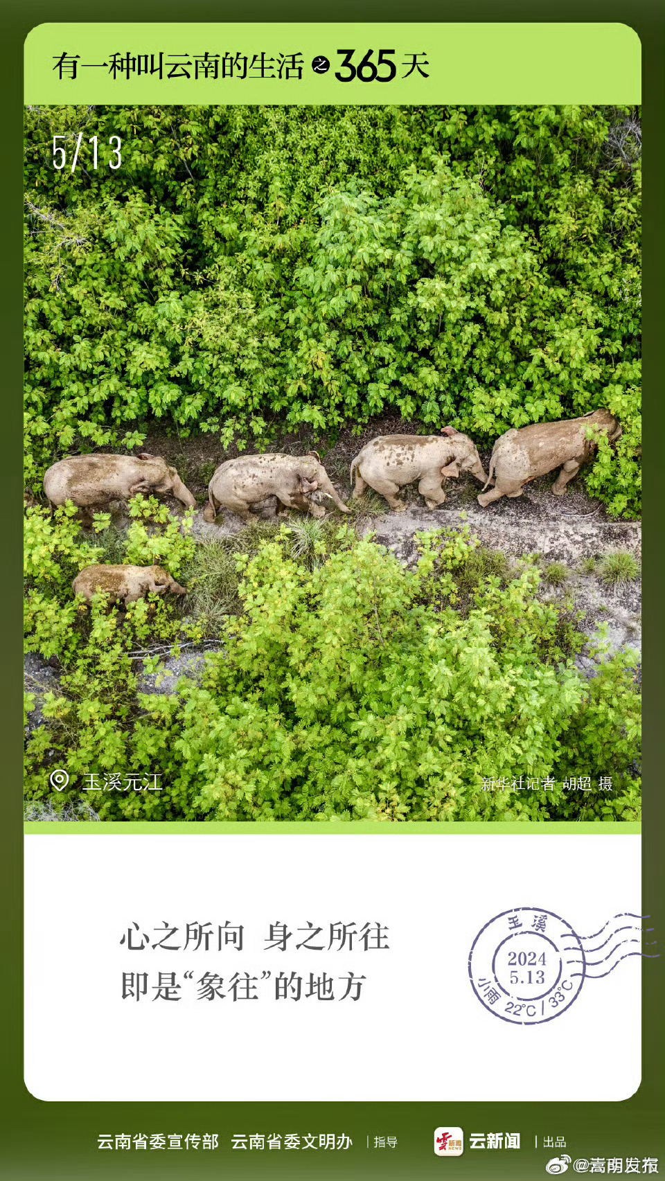 有一种叫云南的生活之365天 ｜5月13日 彩云之南 “象往”之地