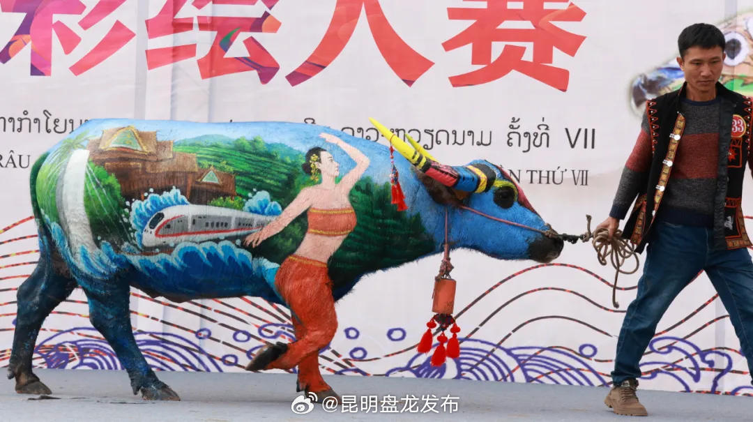 江城@你，第六届牛体彩绘大赛即将来袭