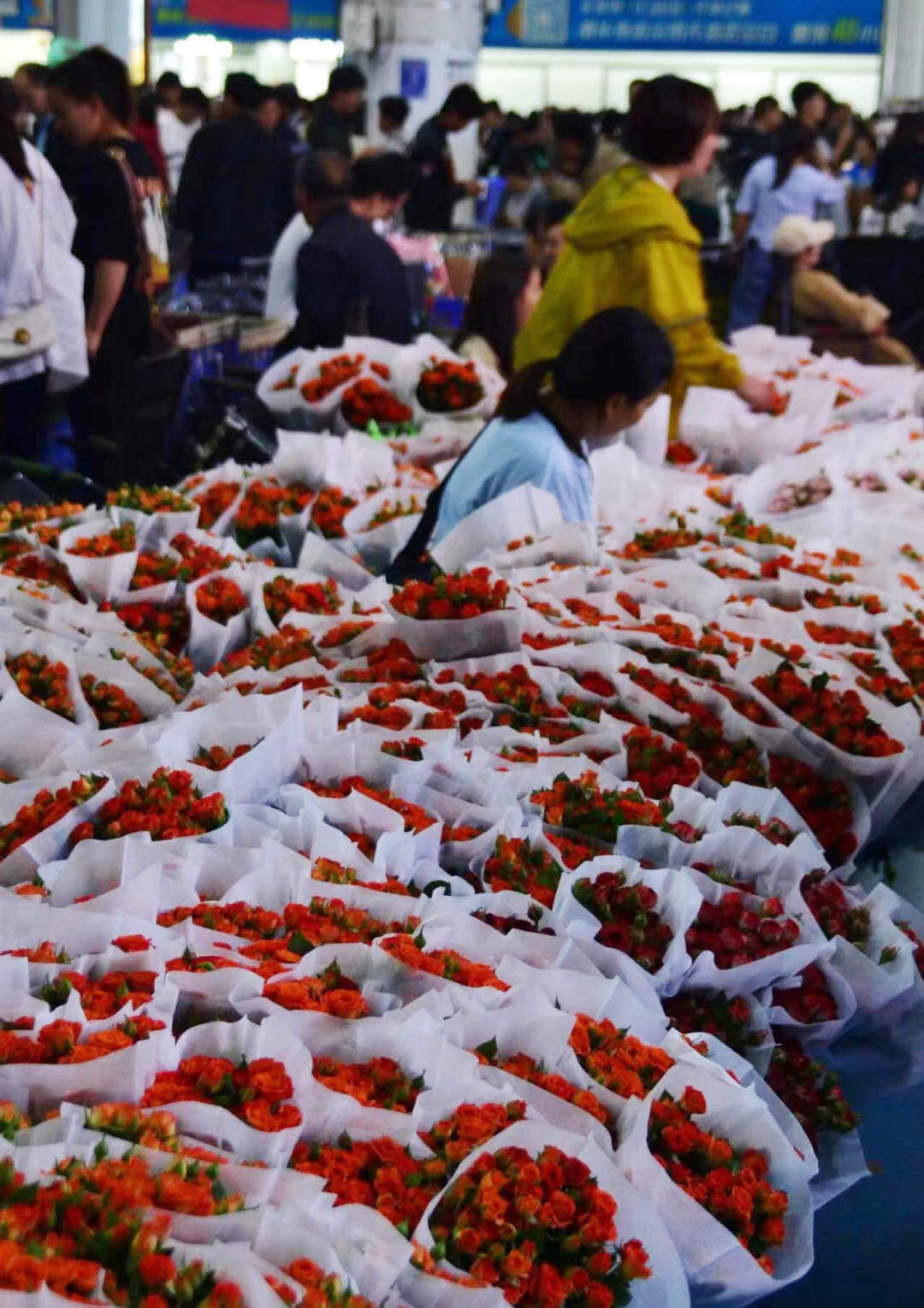 云南省文化和旅游厅