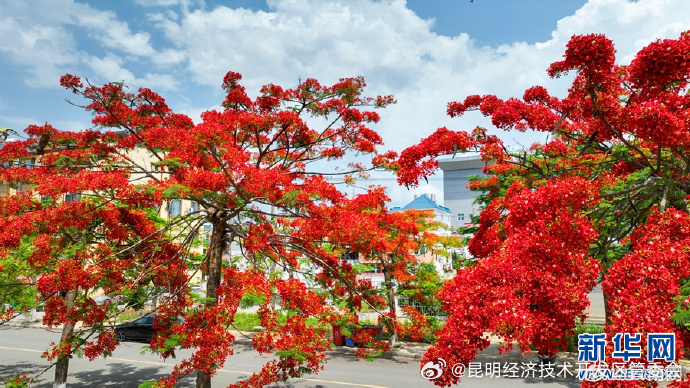 昆明经济技术开发区管委会