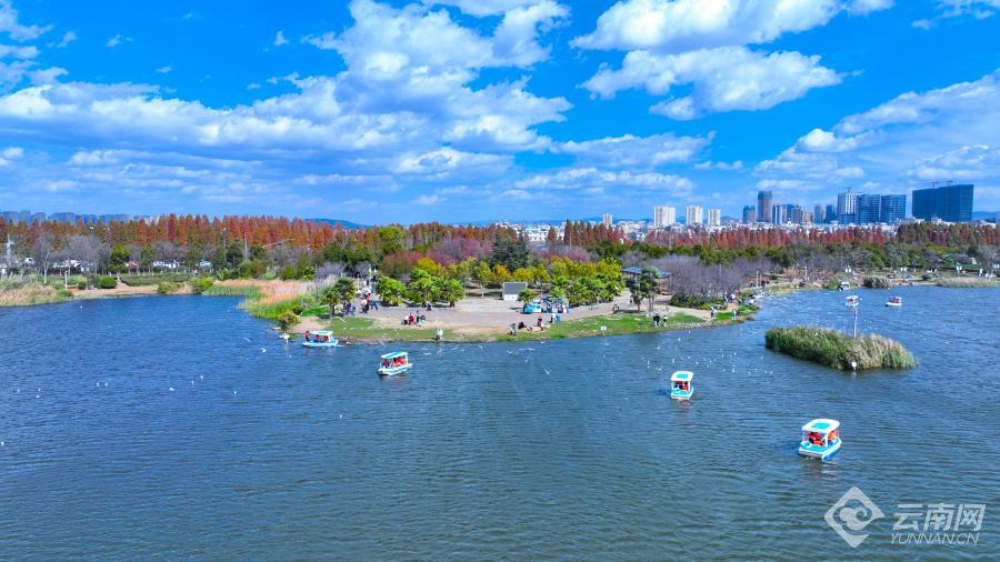 云南省文化和旅游厅