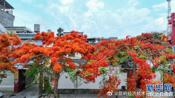 昆明经济技术开发区管委会