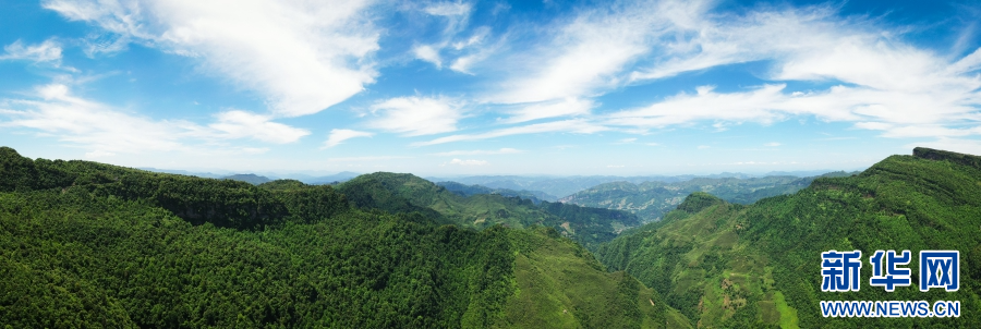 云南省文化和旅游厅