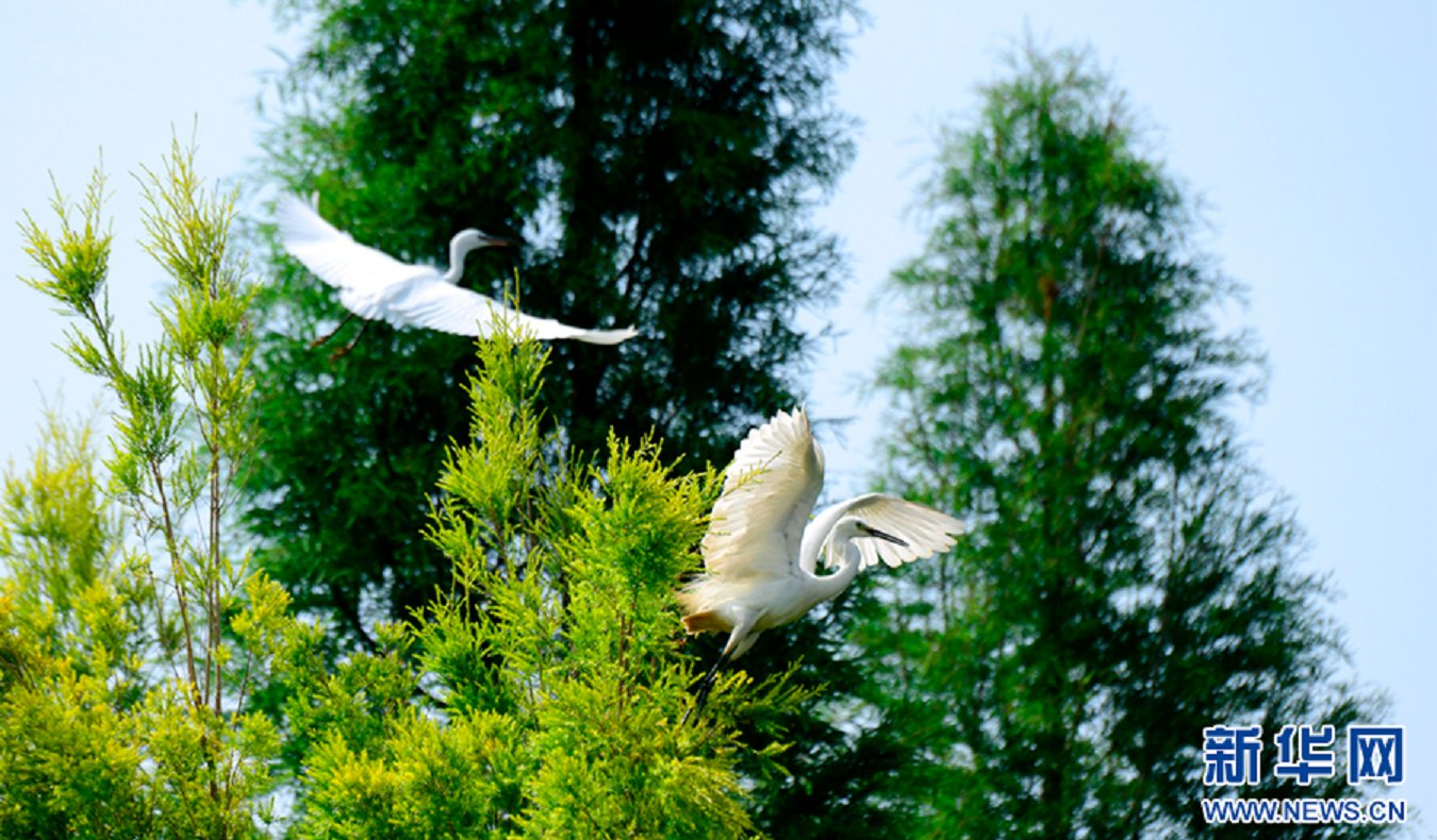 云南省文化和旅游厅