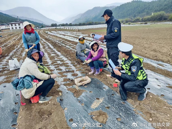 云南曲靖交警