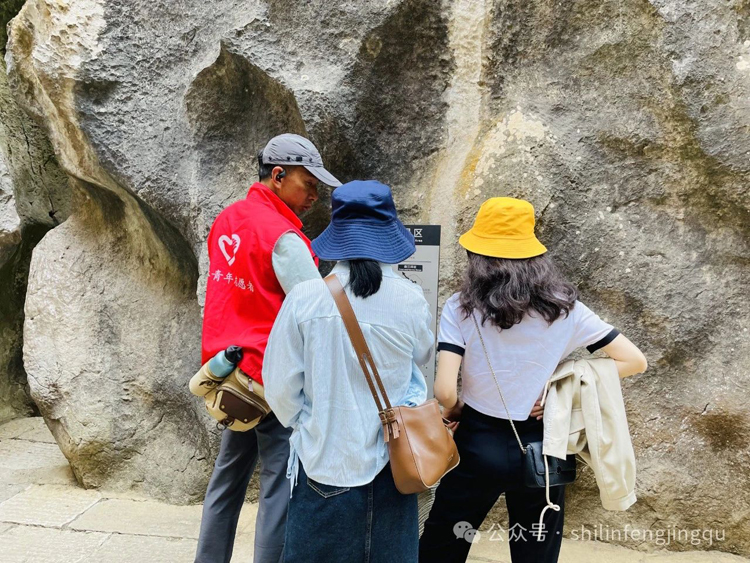 石林旅游网