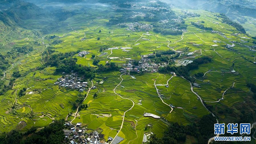 云南省文化和旅游厅