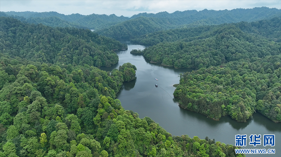 云南省文化和旅游厅