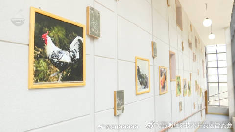 昆明经济技术开发区管委会