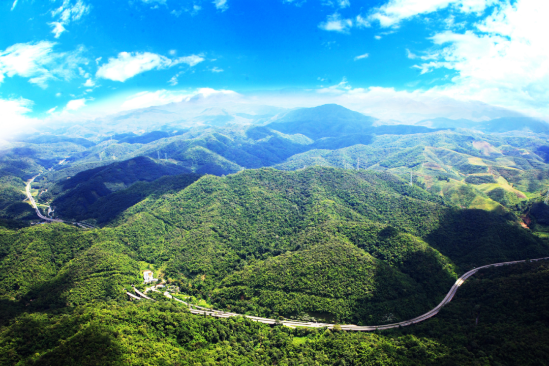 云南省文化和旅游厅