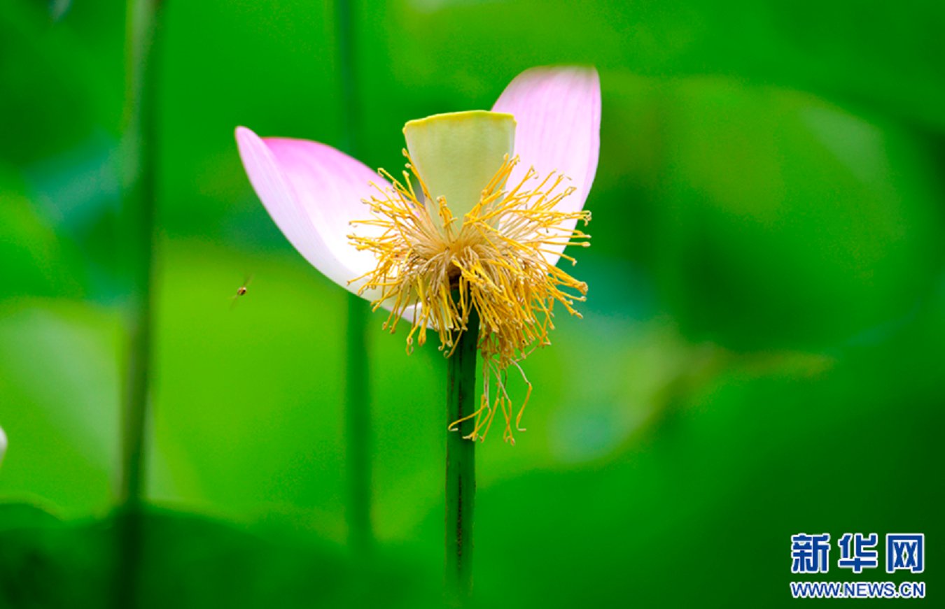 云南省文化和旅游厅