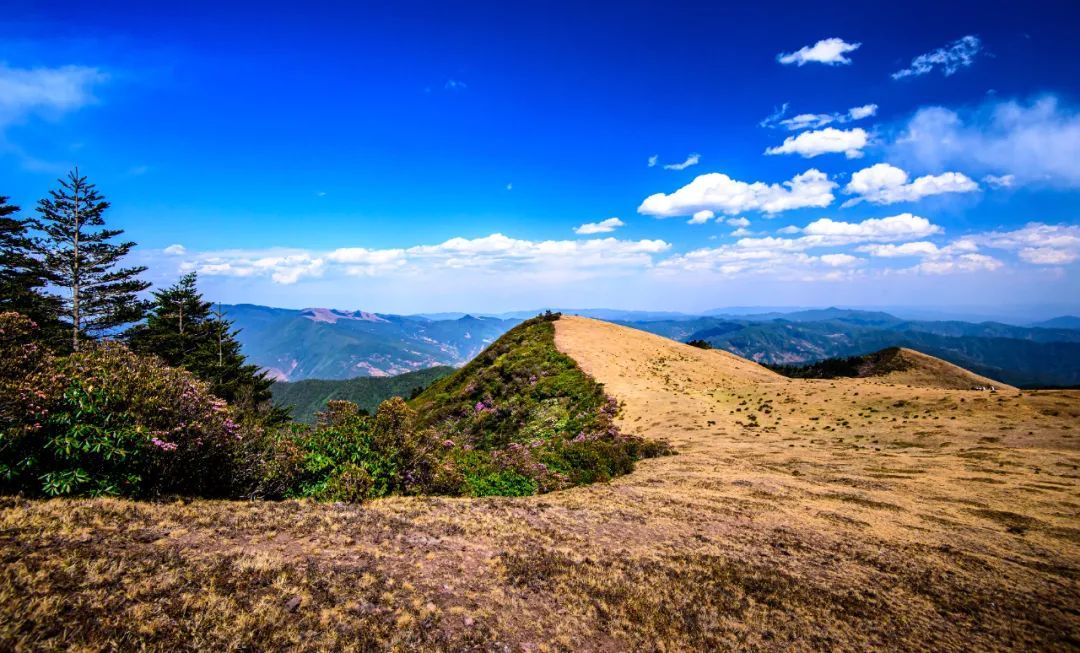 云南省文化和旅游厅