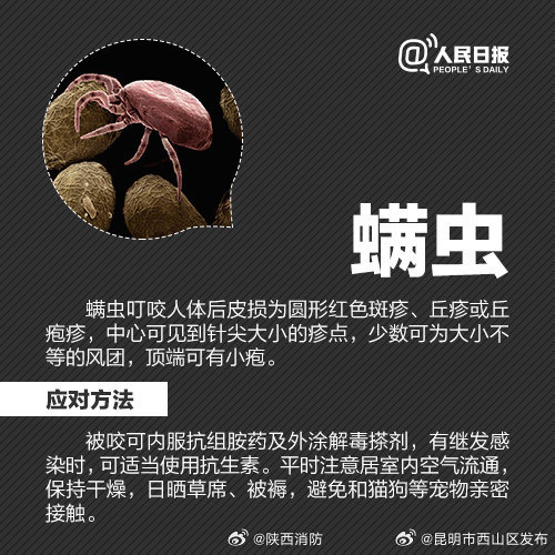 昆明市西山区发布