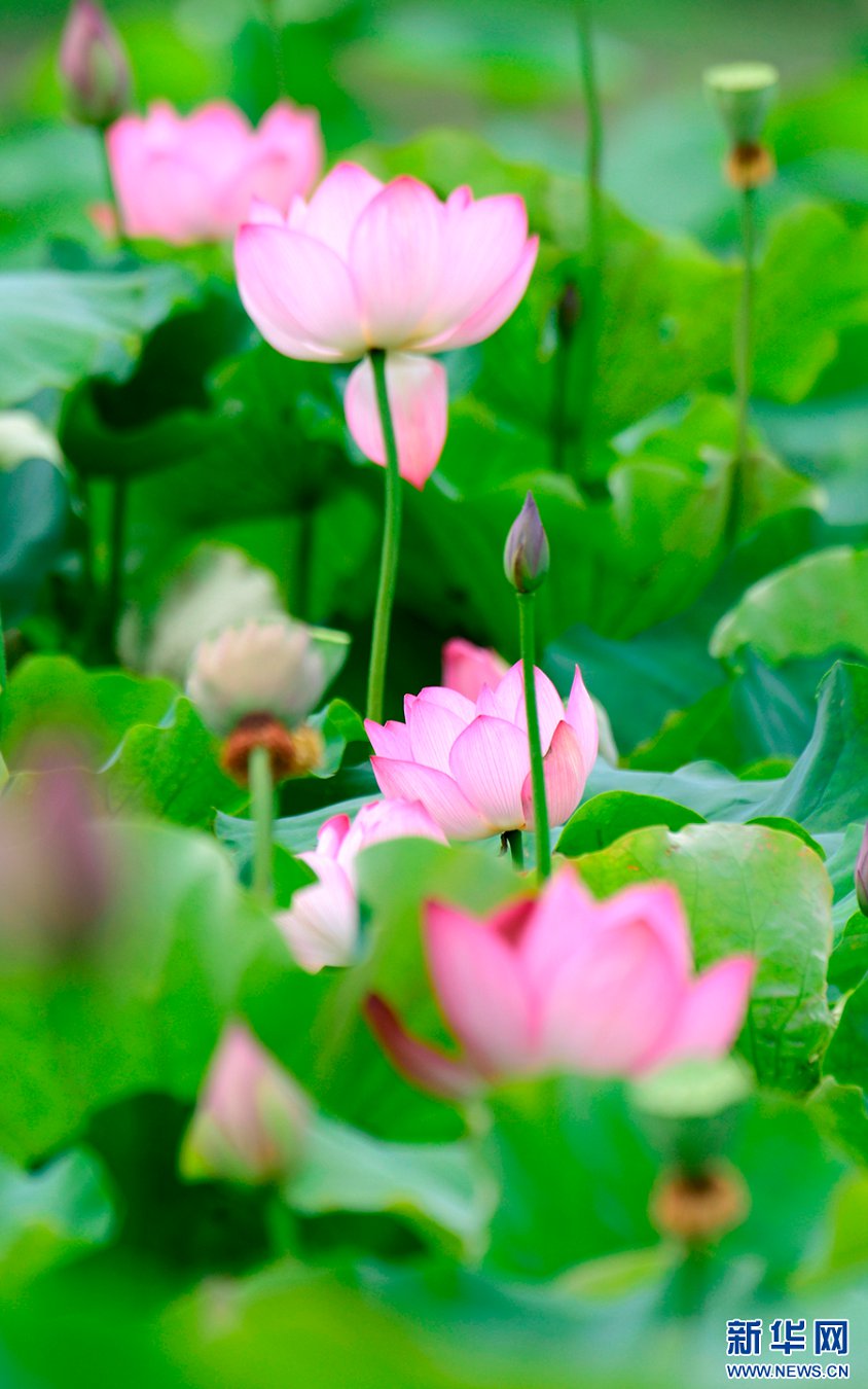 云南省文化和旅游厅