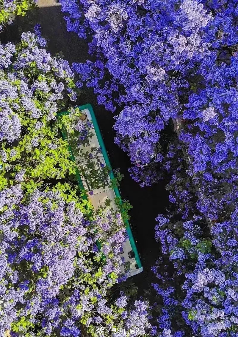 昆明信息港微博