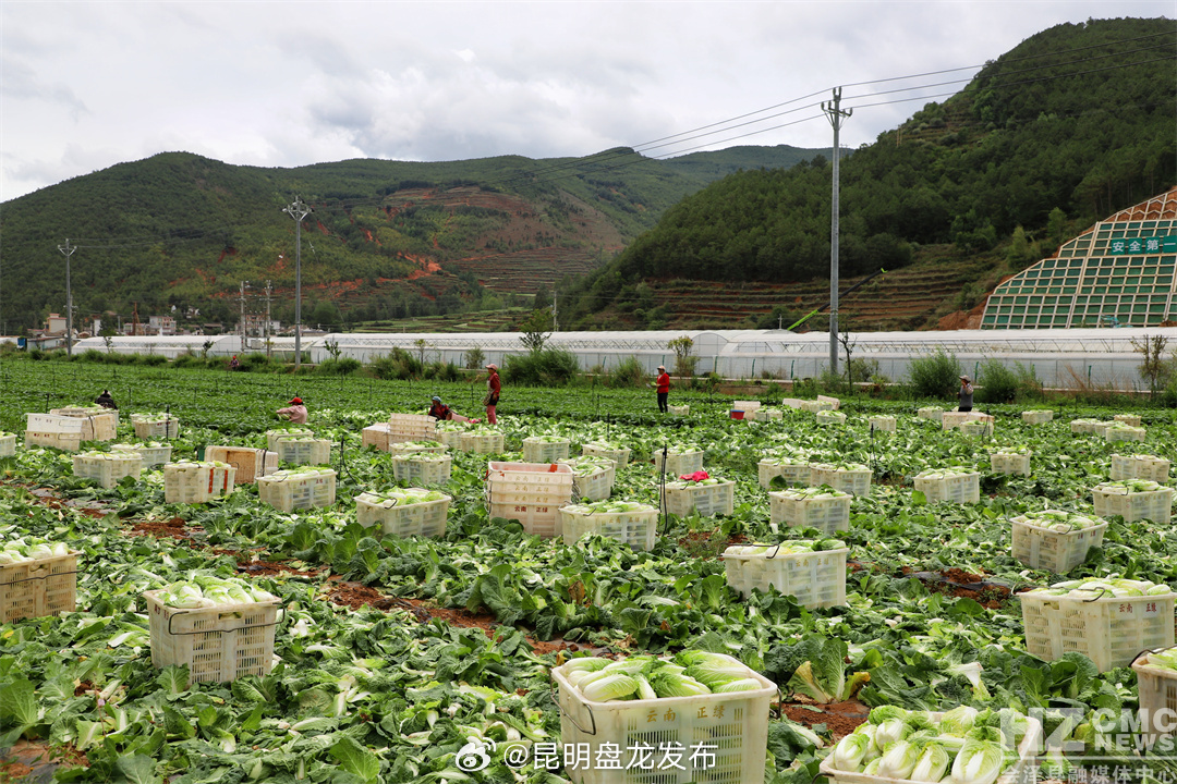 昆明盘龙发布