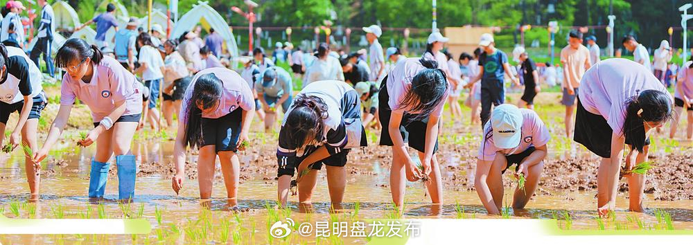 昆明盘龙区双龙街道：农文旅体融合 乡村振兴添活力