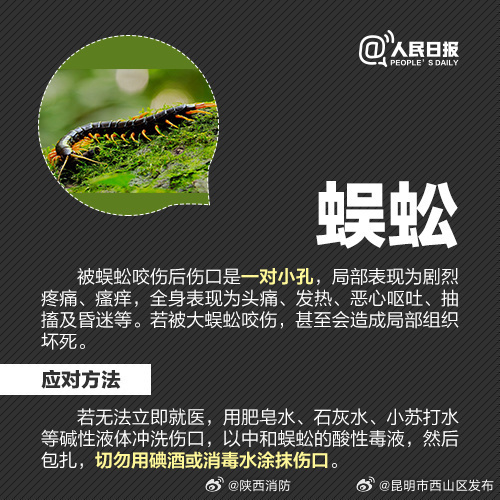 昆明市西山区发布