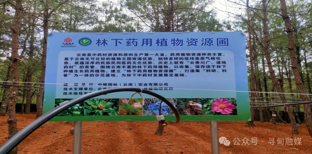 昆明寻甸发布