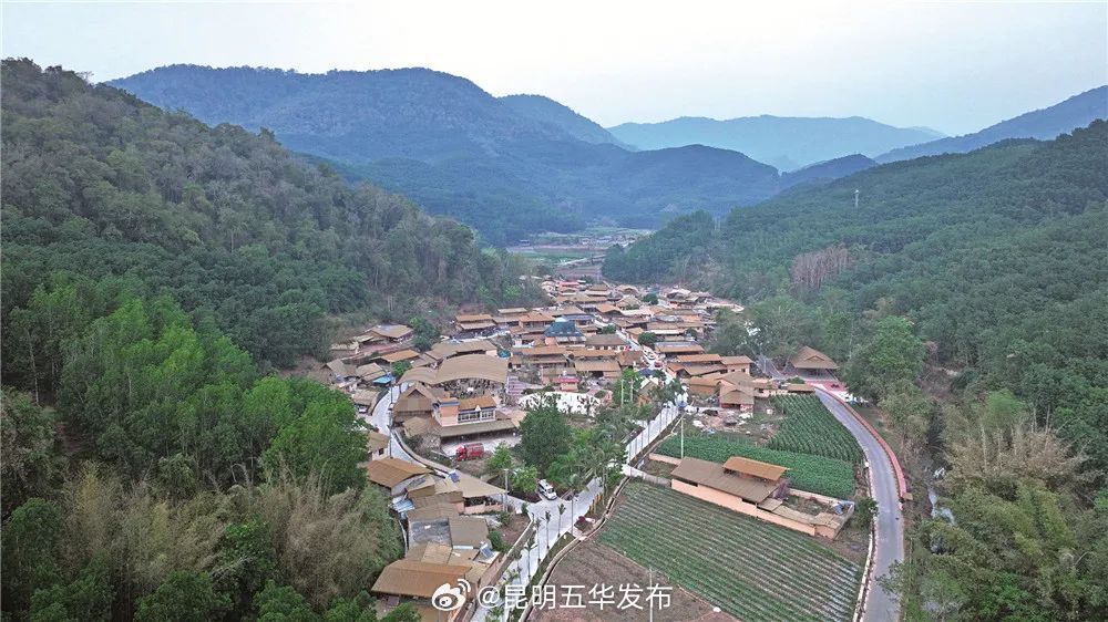 向上吧 少年磨憨｜五华区帮带共建尚勇村：幸福村里话幸福
