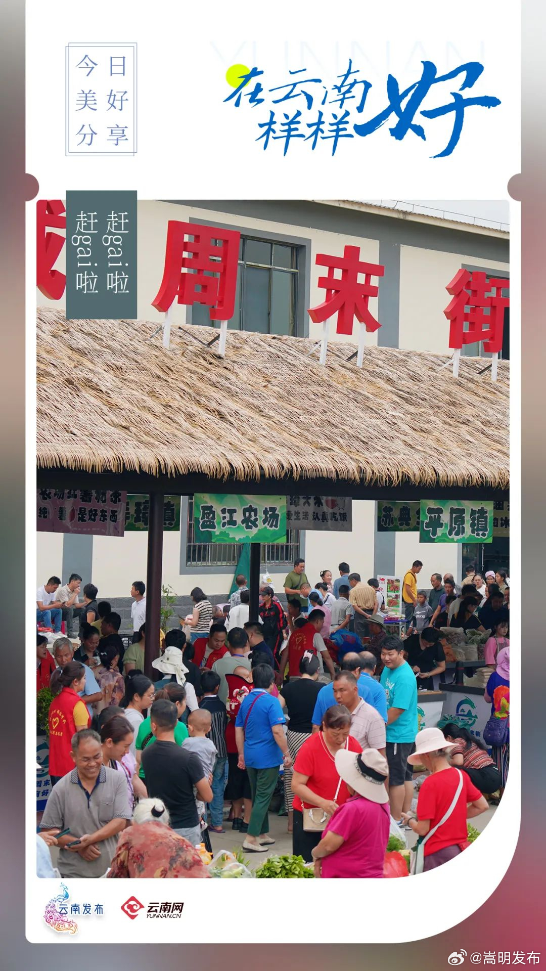 在云南样样好丨赶gai啦！赶gai啦！