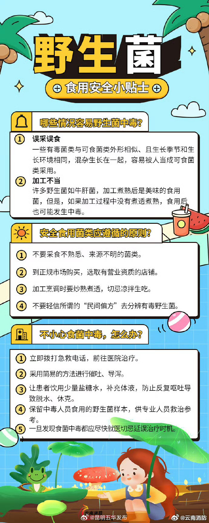  野生菌食用注意事项