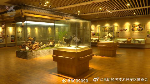 昆明经济技术开发区管委会