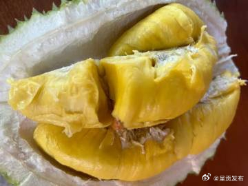 每天吃一块榴莲会发生什么 ？