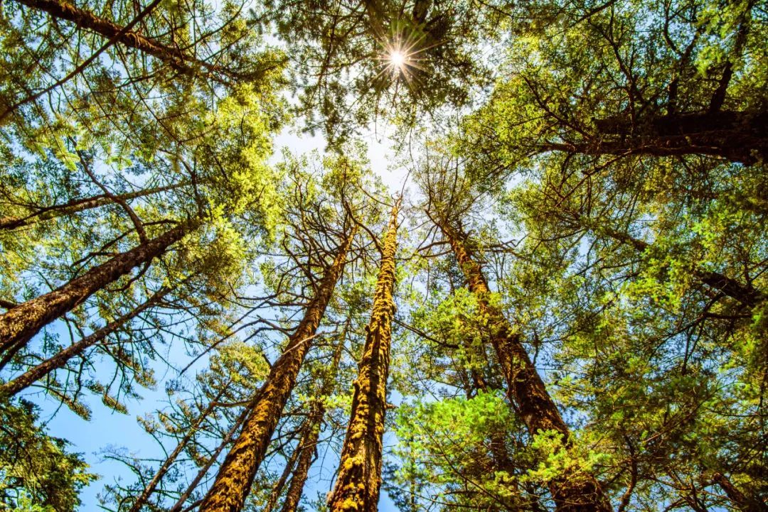 云南省文化和旅游厅