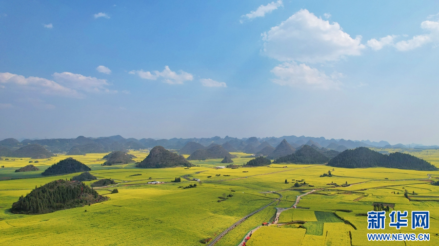 云南省文化和旅游厅