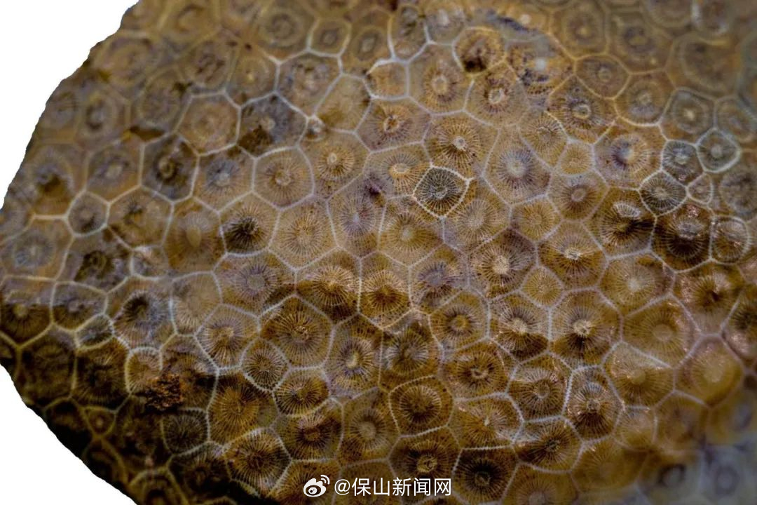 保山新闻网