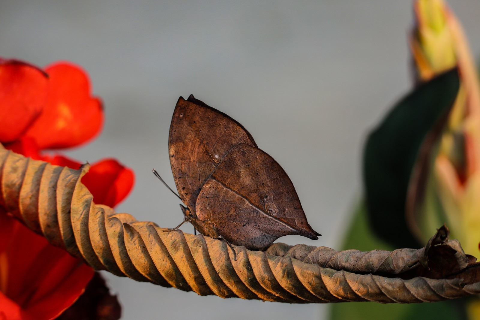 云南省文化和旅游厅