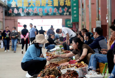 呈贡发布