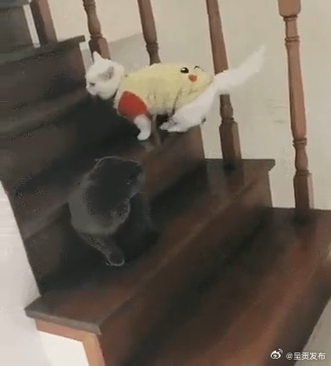 爬山时膝关节受到的冲击力有多大 