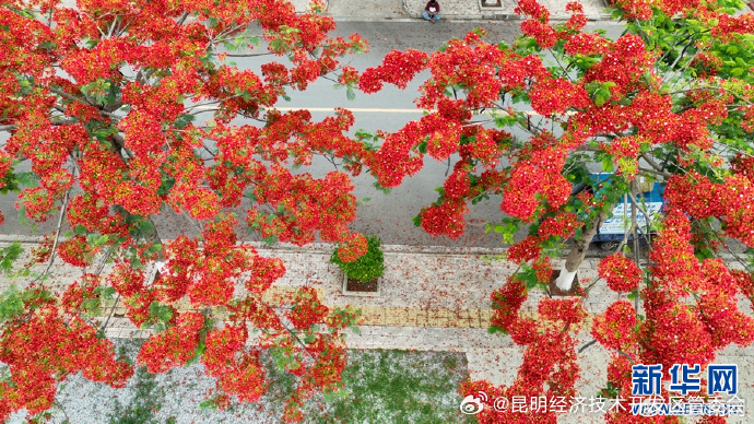 昆明经济技术开发区管委会