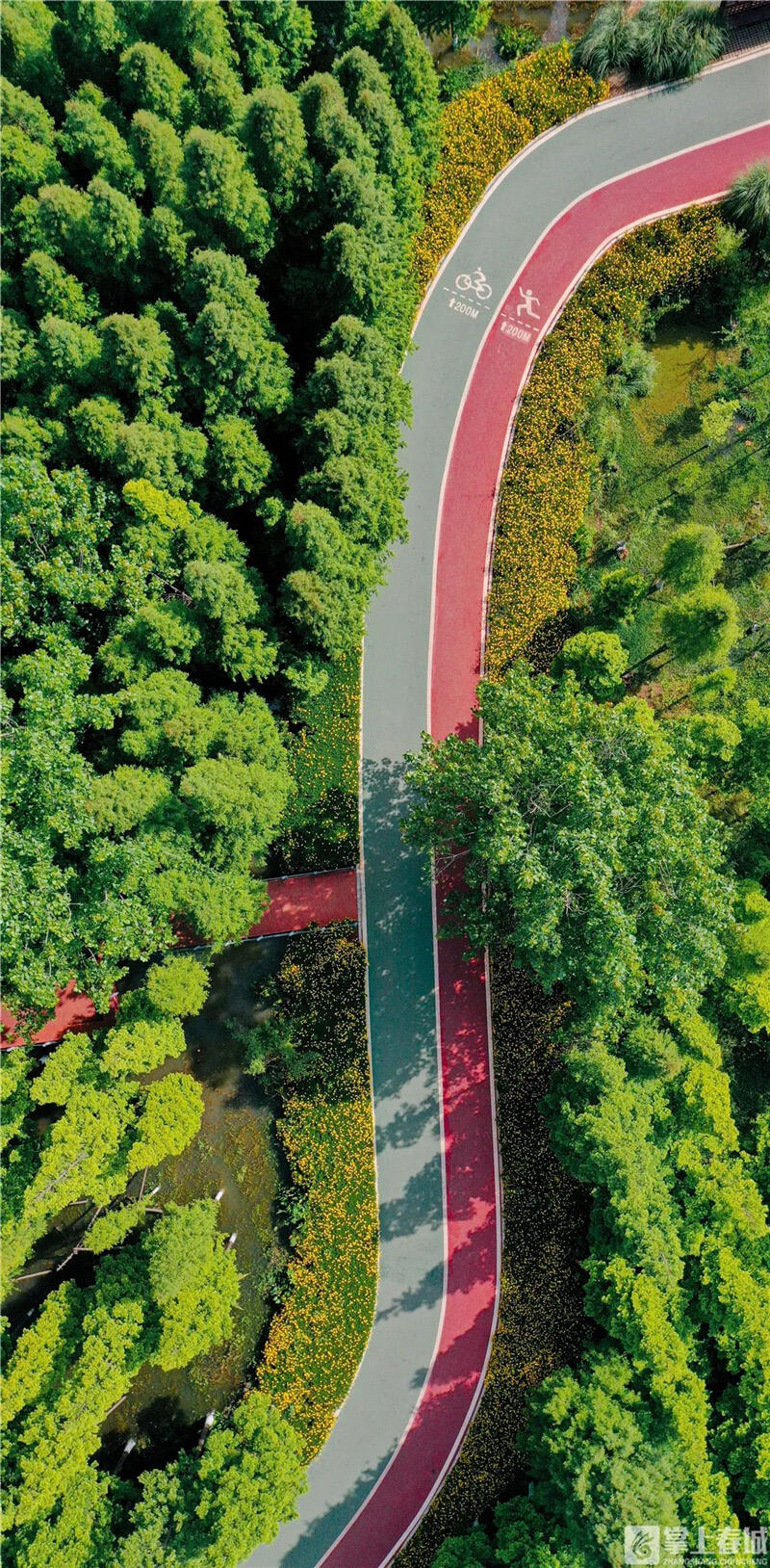 云南省文化和旅游厅