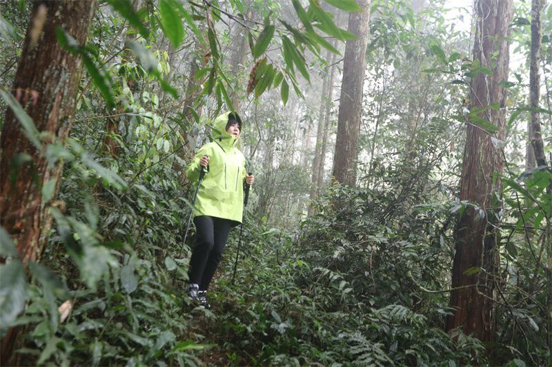 云南省文化和旅游厅