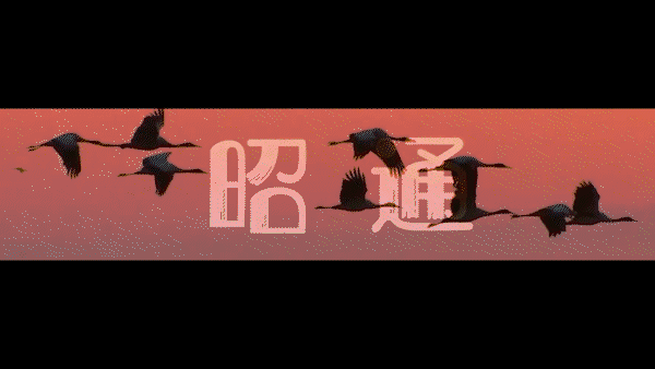 云南省文化和旅游厅